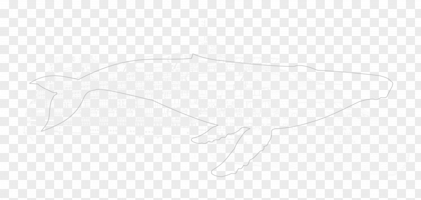 Wireframes Material Drawing Line Art Sketch PNG