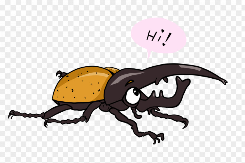 Beetle Hercules Weevil Drawing PNG