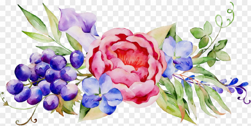 Cornales Rose Watercolor Flower Background PNG