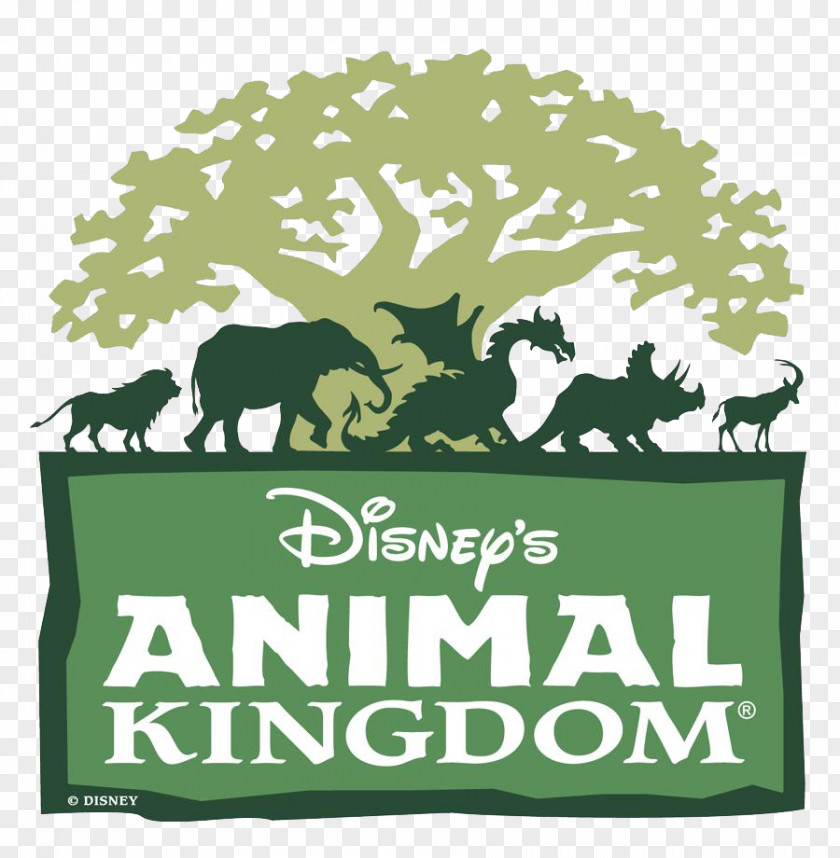 Dinosaur Kilimanjaro Safaris Disney's Hollywood Studios Kali River Rapids Amusement Park PNG