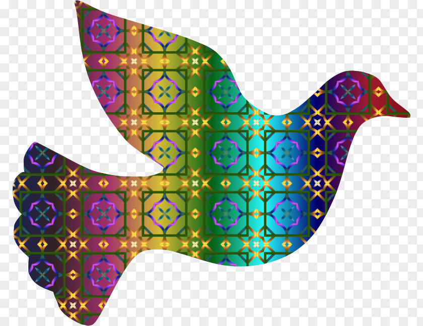 DOVE Columbidae Doves As Symbols Color Clip Art PNG