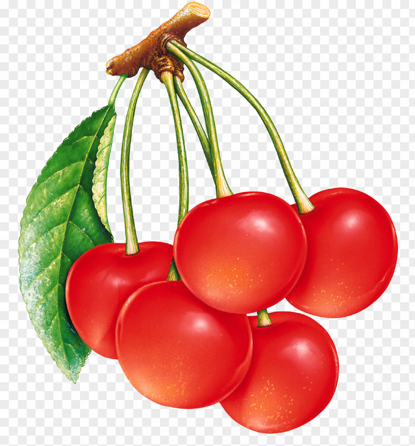 Tomato Strawberry Fruit Drawing Cherry PNG