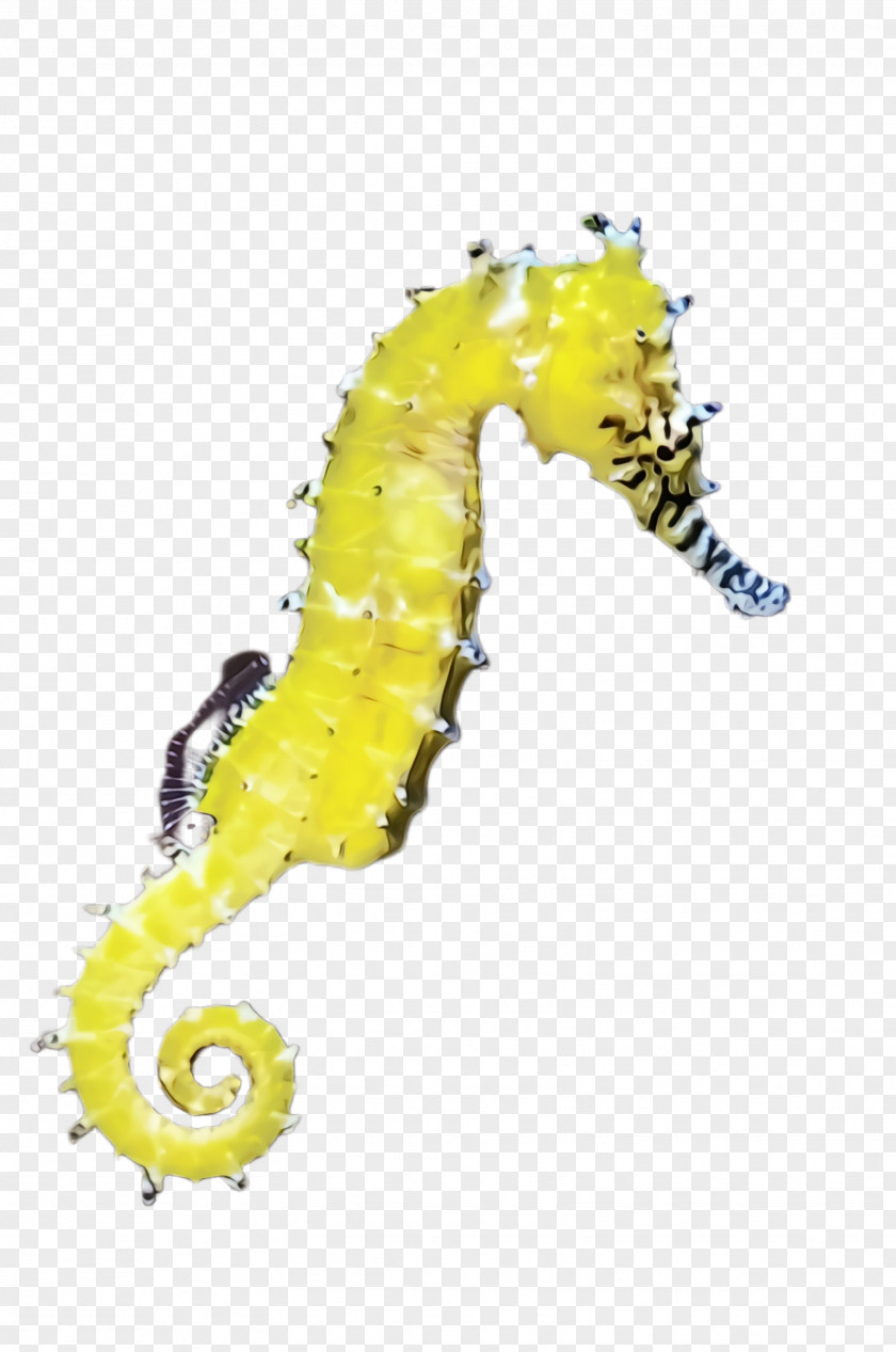 Animal Figure Yellow Seahorse Northern PNG