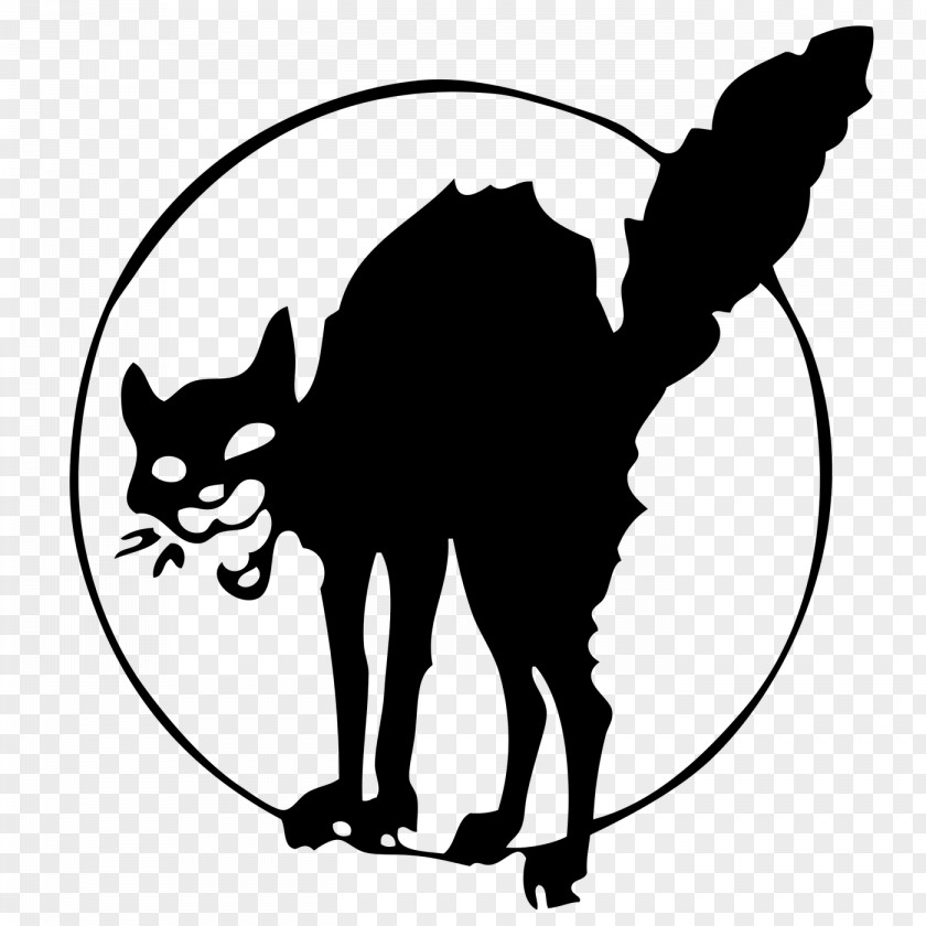 Black Cat The Anarchism Anarcho-syndicalism PNG
