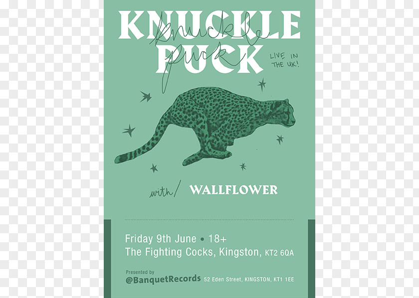 COCK FIGHT Knuckle Puck Pop Punk Emo Rock Download Festival PNG