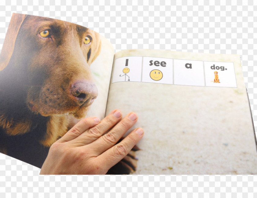 Dog Breed Product Snout PNG