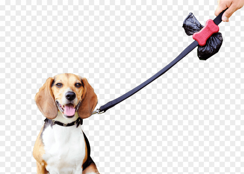 Dog Lead Breed Leash Beagle Bin Bag Puppy PNG