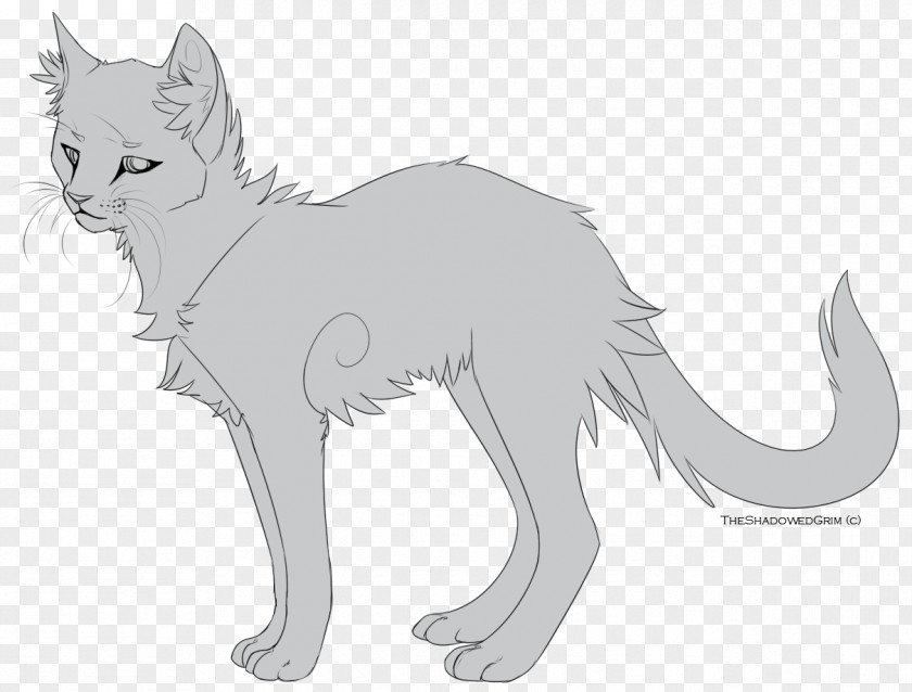 Painted Cat Line Art Whiskers Ravenpaw Drawing PNG