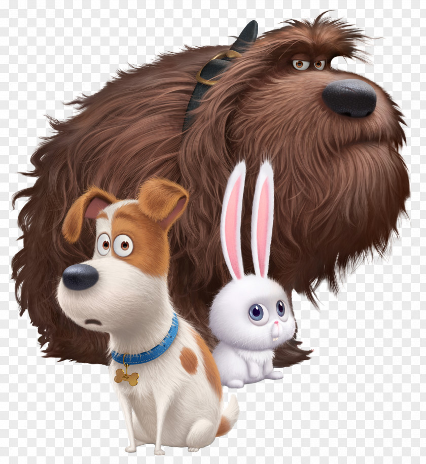 The Secret Life Of Pets Transparent Image Universal Pictures Snowball Max Illumination Entertainment PNG