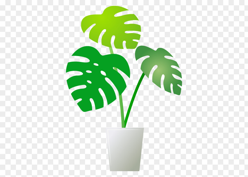 Tree Houseplant Flowerpot Illustration Leaf PNG
