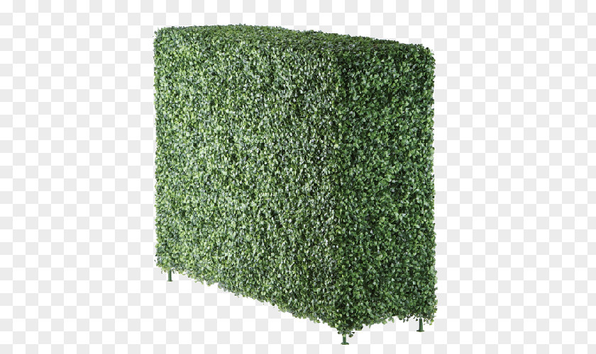 Artificial Turf Rectangle Green Grass Background PNG