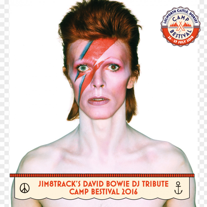 Birthday Death Of David Bowie Aladdin Sane The Rise And Fall Ziggy Stardust Spiders From Mars PNG