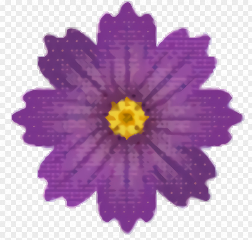 Daisy Family Viola Lavender Flower PNG