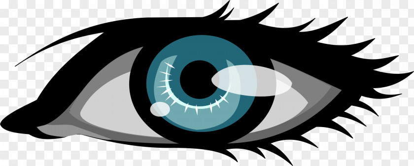 Human Eye Template Download Color Clip Art PNG