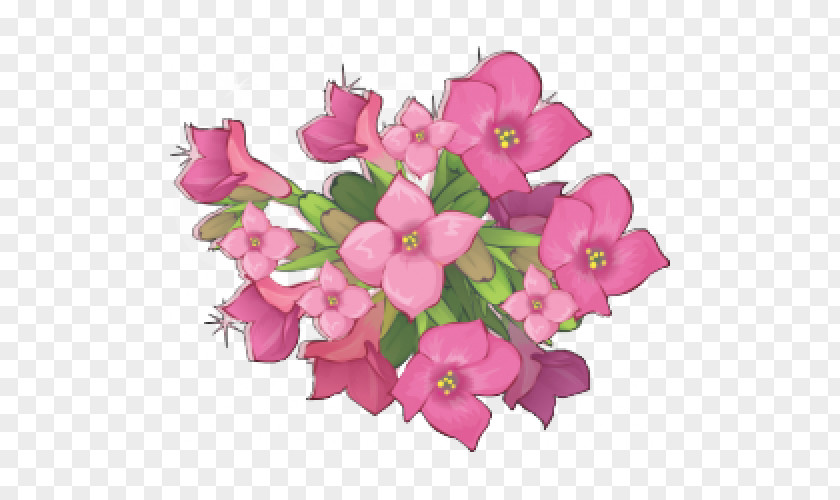 Plants Medicinal Flowering Plant Florist Kalanchoe PNG