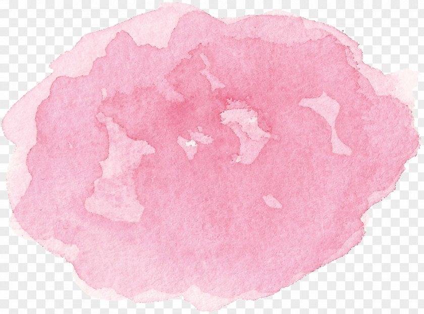 Water Color Petal Flower PNG