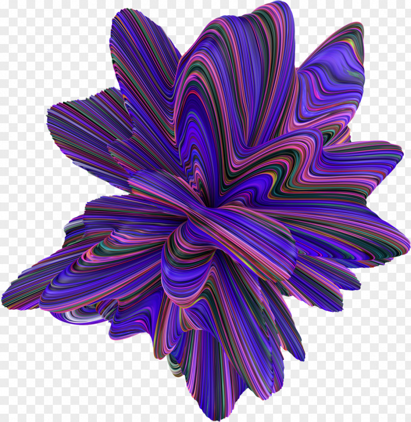 Aster Electric Blue Flower PNG