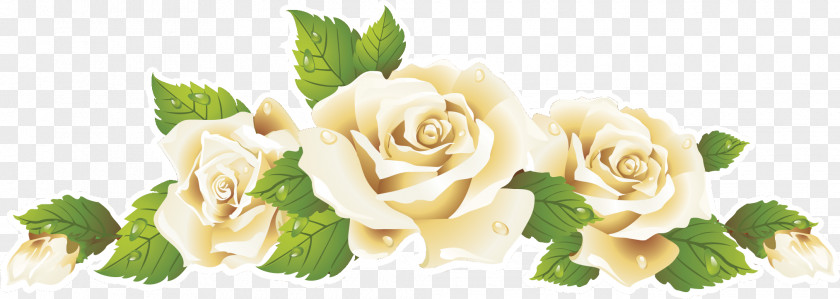 Flower Garden Roses Cut Flowers Rosa × Alba Clip Art PNG
