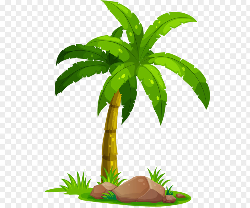 Mon Bateau Clip Art Coconut Image Palm Trees PNG
