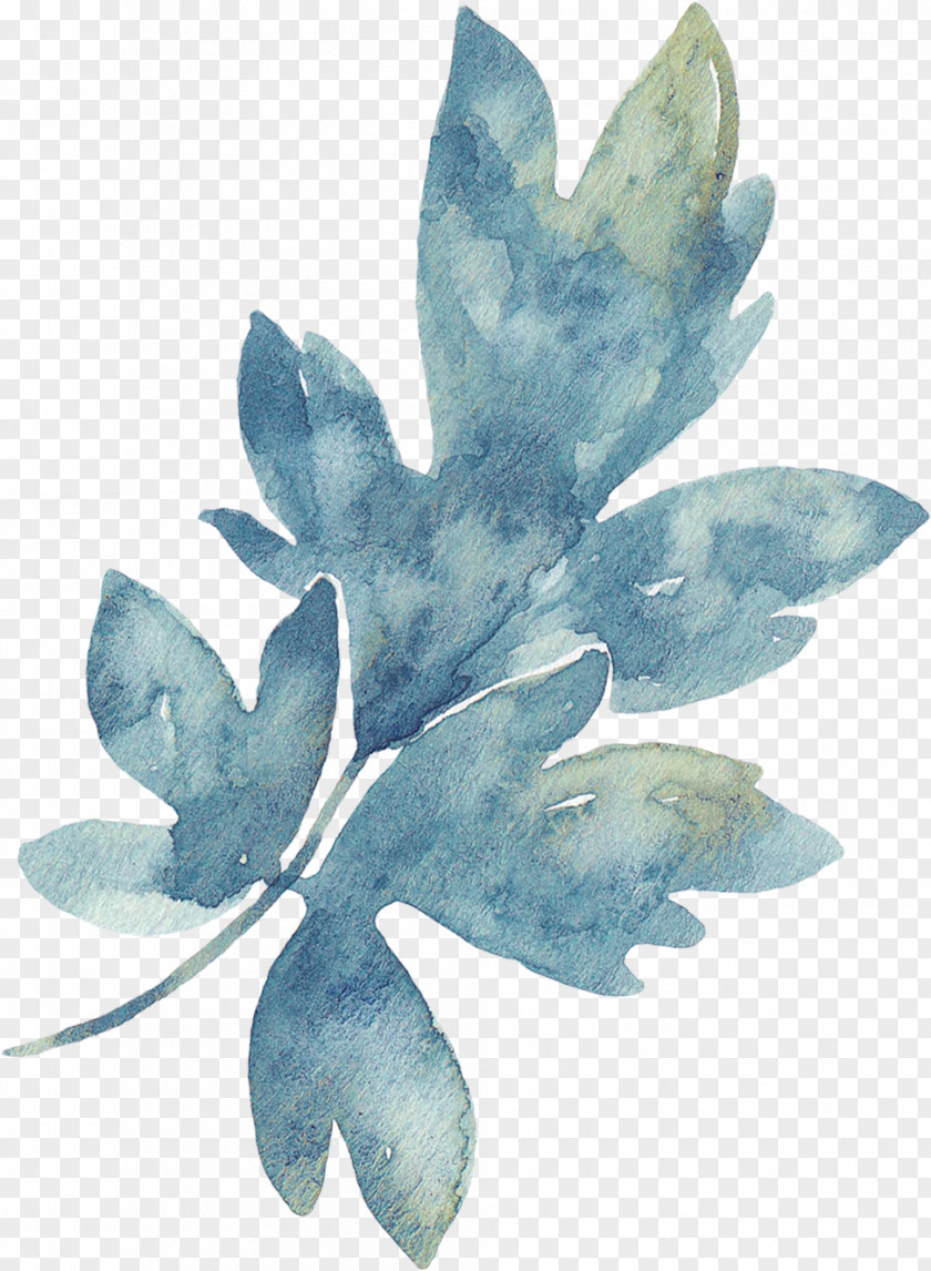 Perennial Plant Petal Watercolor Flower Background PNG