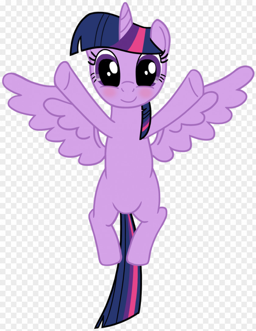 Princess Hug Pony Twilight Sparkle Cadance Rarity Pinkie Pie PNG