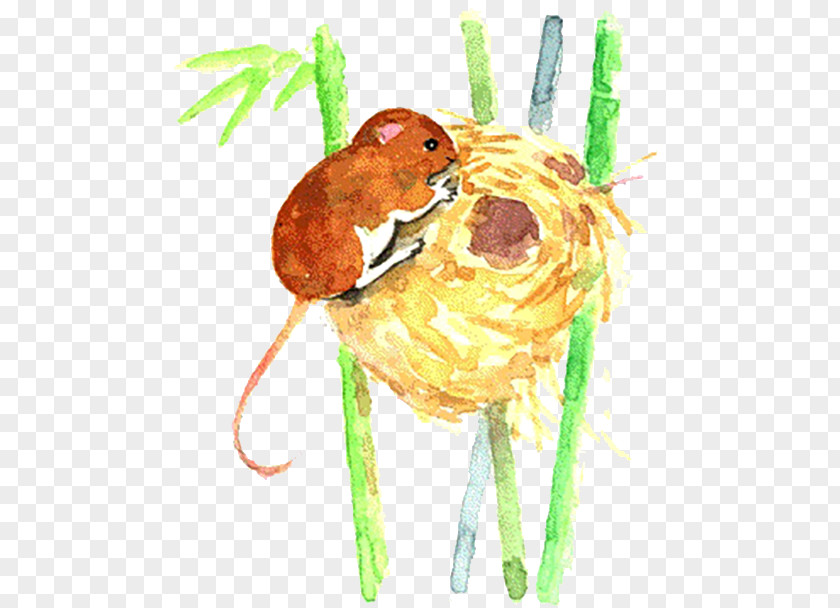 Steal The Eggs Of Mice Mouse Muroidea Illustration PNG