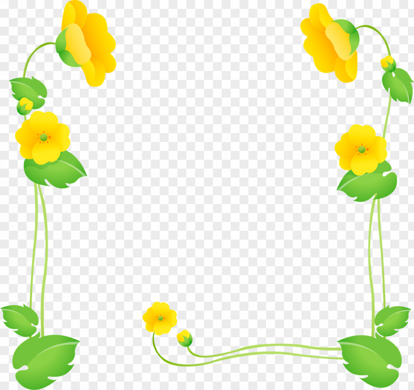 BORDAS Flower Picture Frames Photomontage Photography PNG
