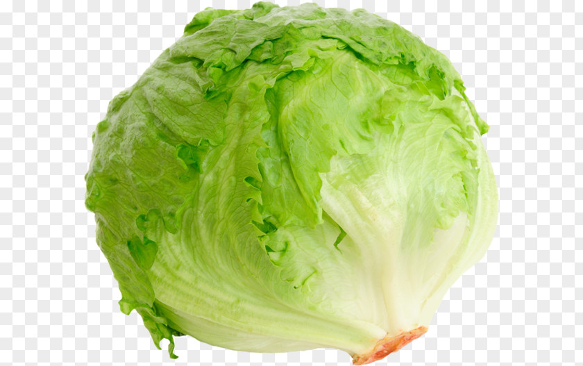 Iceberg Lettuce Romaine BLT Red Leaf Salad PNG