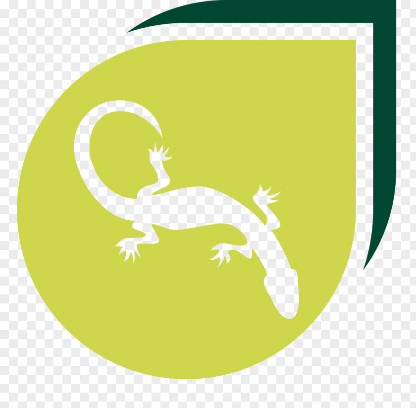 Lizard Goanna News Logo PNG