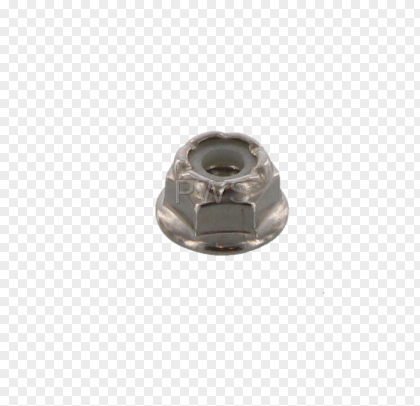 Silver Nut PNG