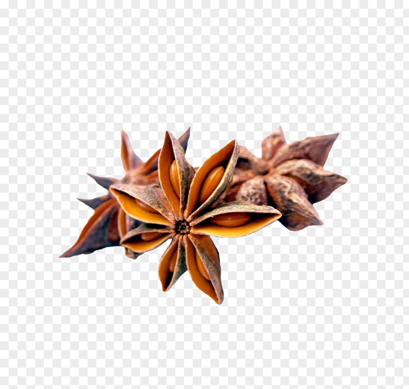 Tea Spice Star Anise Liquorice PNG