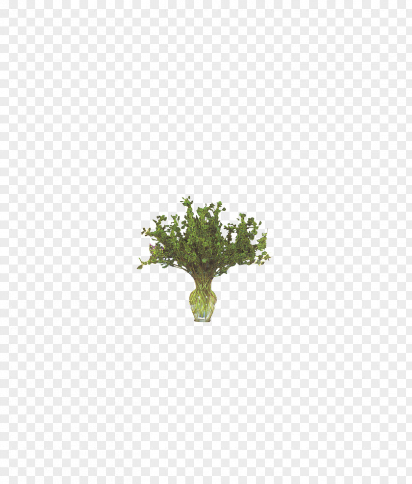 Vase Bonsai Ceramic Decorative Arts PNG