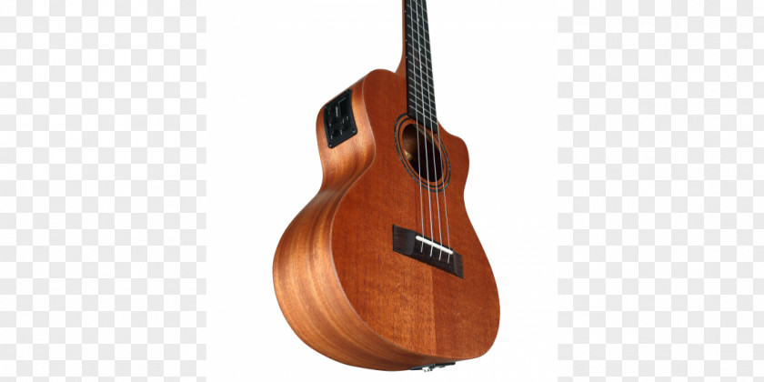 Bass Guitar Acoustic Cuatro Acoustic-electric PNG