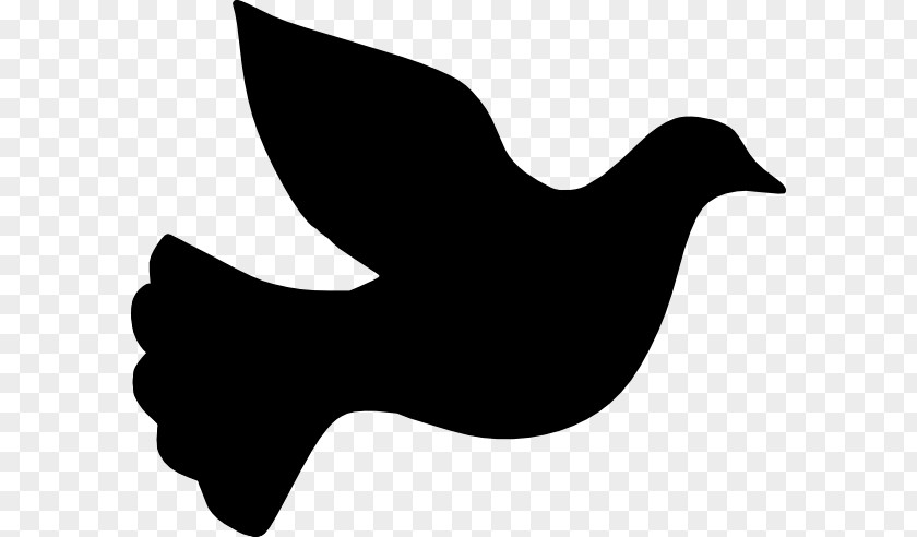 Black Dove Cliparts Columbidae Bird Clip Art PNG