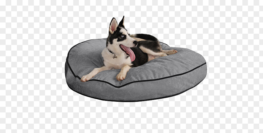 Dog Breed Bed Service Couch PNG