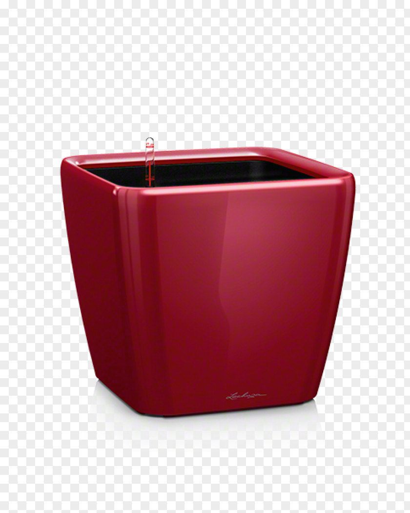 Owl Red Color Scarlet Flowerpot Black PNG