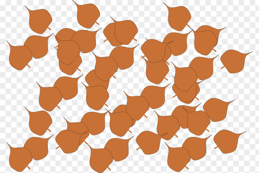 Autumn Leaf Color Clip Art PNG