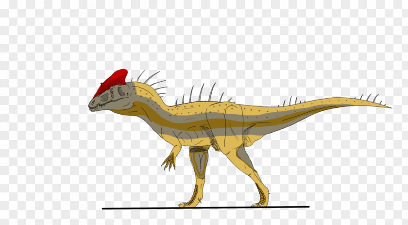 Dinosaur Velociraptor Dilophosaurus Tyrannosaurus Jurassic Park PNG