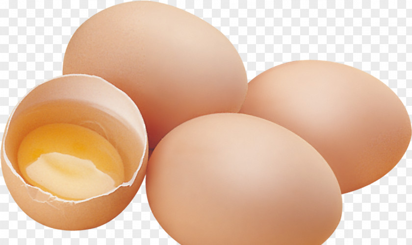 Egg Chicken Yolk PNG