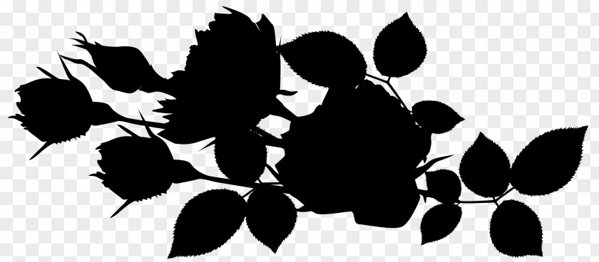 Flowering Plant Font Silhouette Pattern PNG