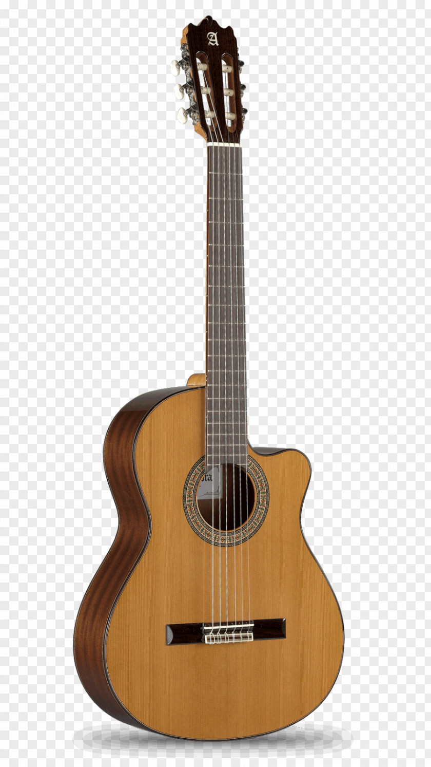 Gmail Steel-string Acoustic Guitar Classical Acoustic-electric PNG