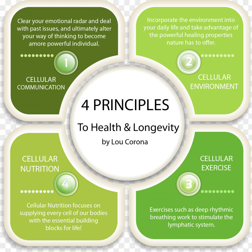 Health Principios De Farmacología Médica Principle Dietary Supplement Nutrition PNG