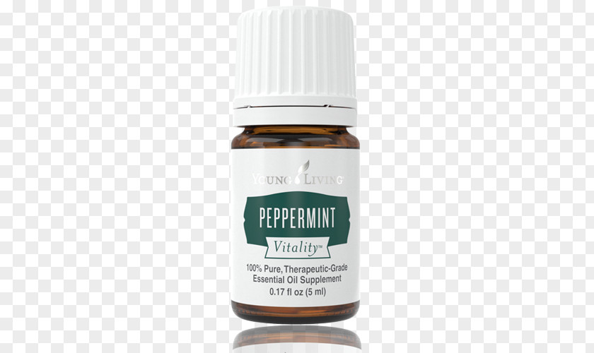 Oil English Lavender Young Living Peppermint Essential PNG