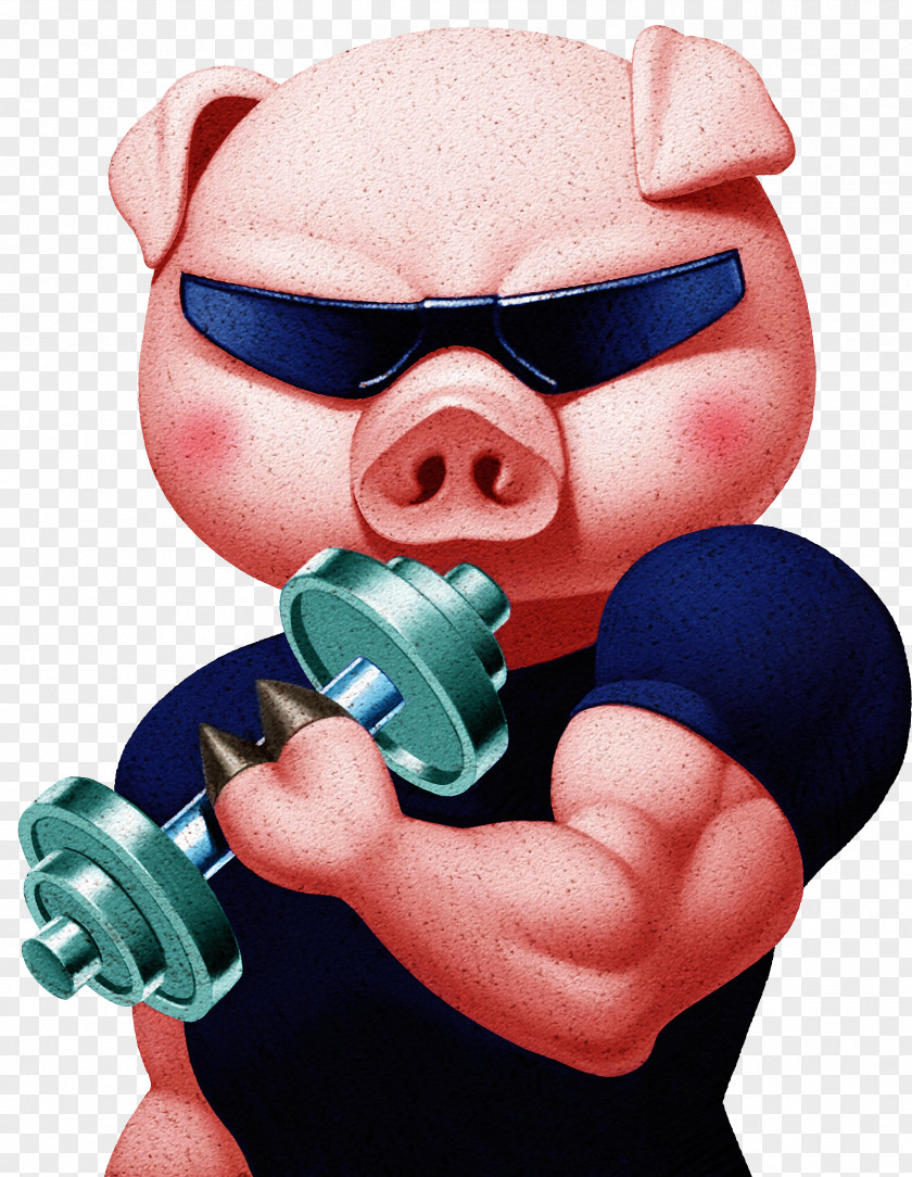 Ugly Pig Cartoon Clip Art PNG
