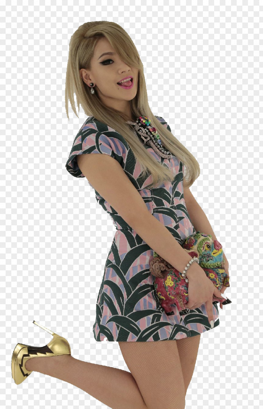 Yunnan Gleditsia Meters 18 0 1 CL 2NE1 South Korea M Countdown Artist PNG