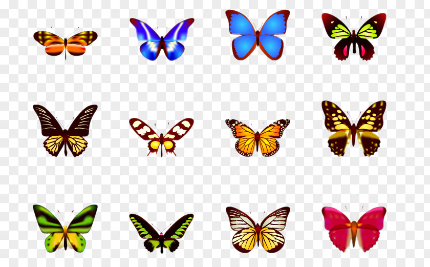 Butterfly ICO Clip Art PNG