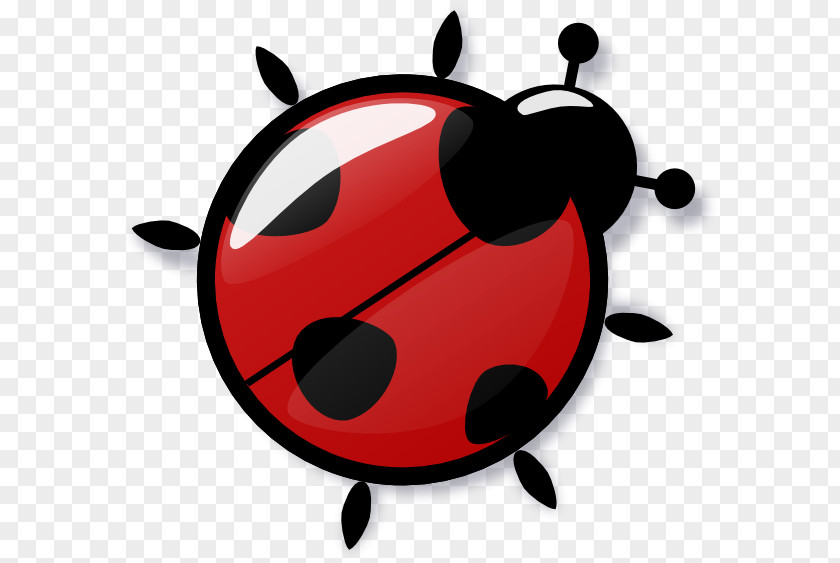 Icon Ladybug Transparent Ladybird Cockroach Clip Art PNG