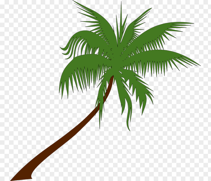 Limited Outlook Arecaceae Clip Art PNG