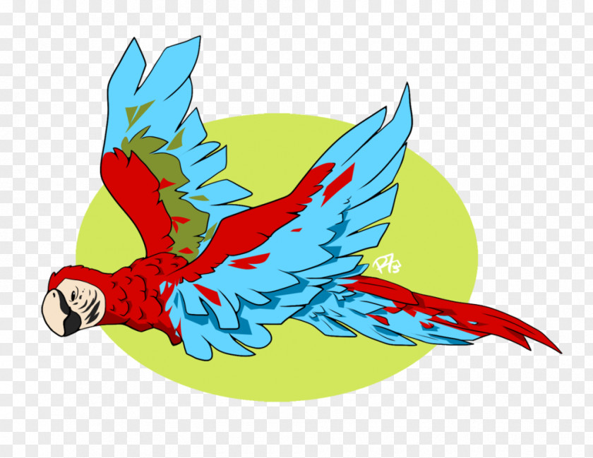 Parrot Macaw Beak Clip Art PNG