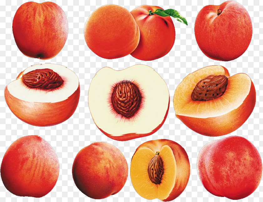 Peach Diet Chinese Food Therapy Dysmenorrhea PNG